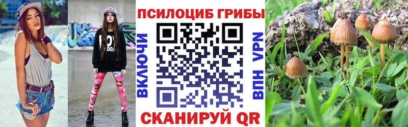 Галлюциногенные грибы Magic Shrooms Спасск